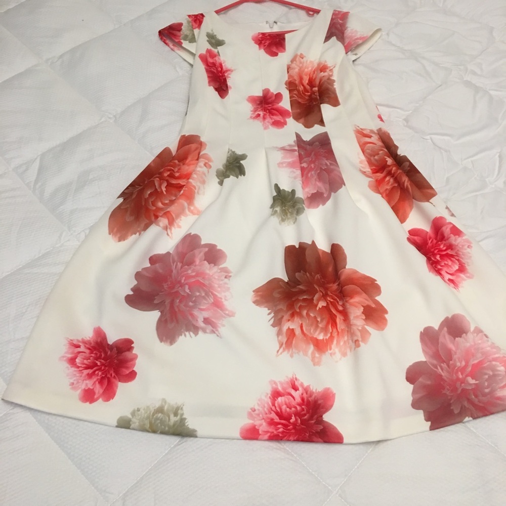 Calvin Klein dress pink floral.  New no tags